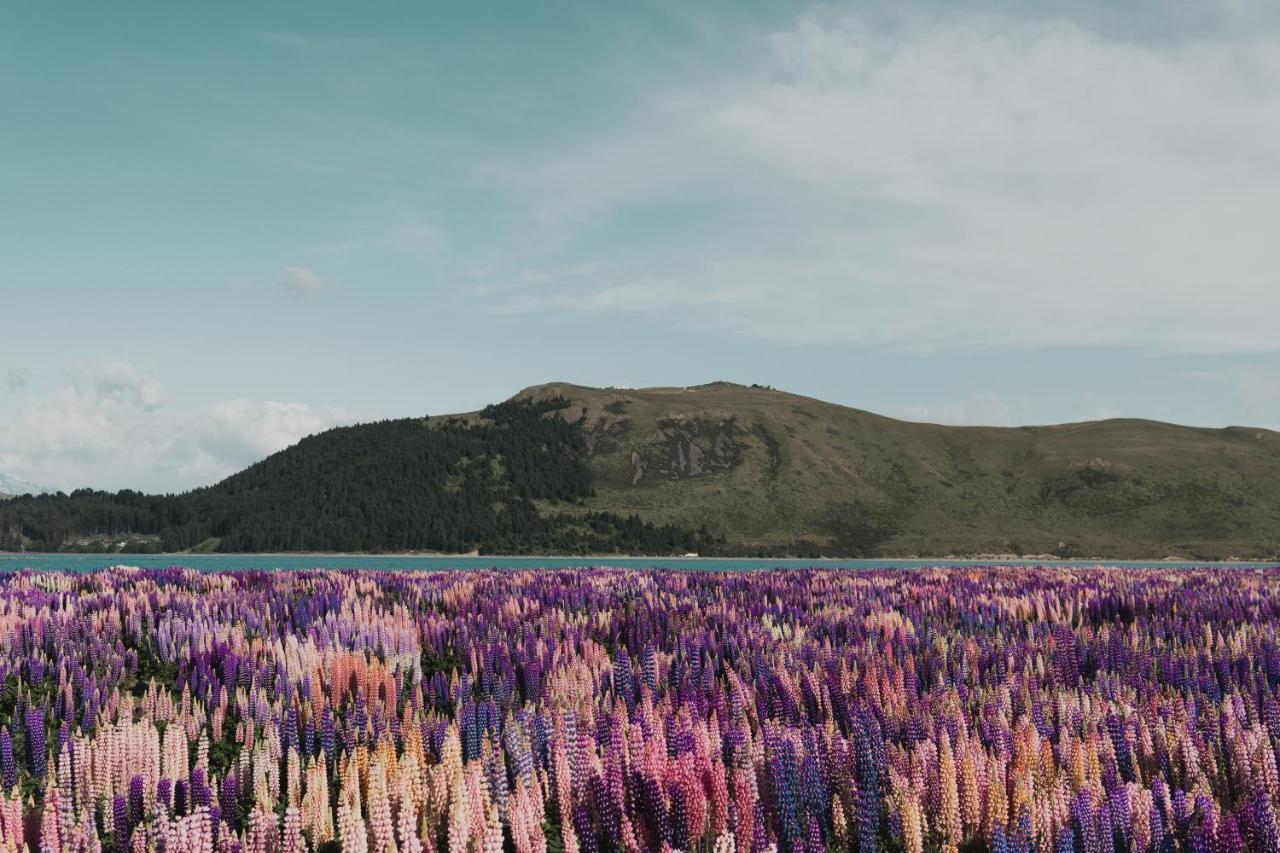 Mt John Homestead Lake Tekapo Exterior foto